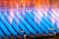 Penrallt gas fired boilers